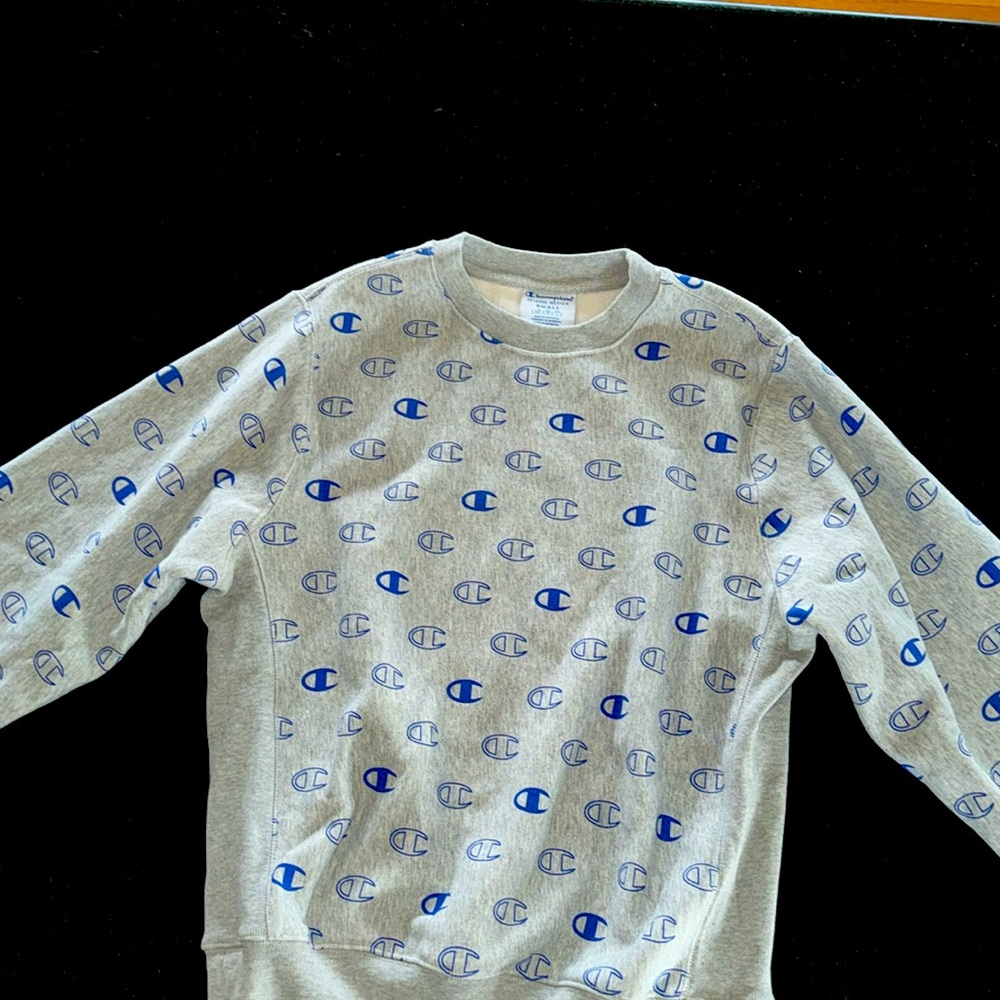 Champion crewneck hoodie